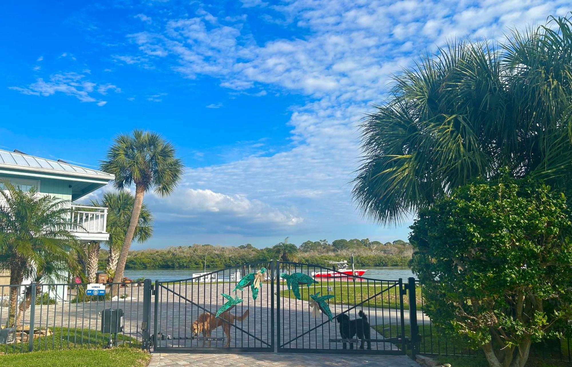 Guest Suite - Waterfront -Pool & Hot Tub- Walk To Beach クリアウォーター・ビーチ エクステリア 写真